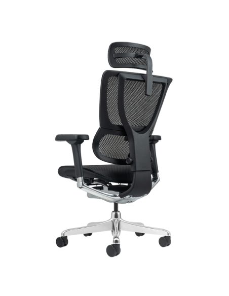 Ергономичен стол ERGOHUMAN ELITE 2 - черна рамка - черен