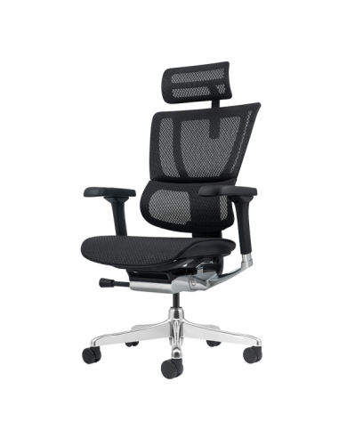 Ергономичен стол ERGOHUMAN ELITE 2 - черна рамка - черен