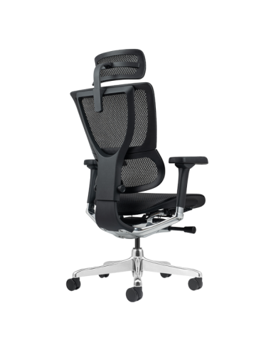 Ергономичен стол ERGOHUMAN ELITE 2 - черна рамка - черен