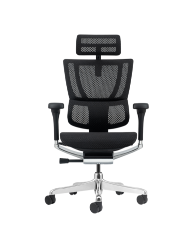 Ергономичен стол ERGOHUMAN ELITE 2 - черна рамка - черен