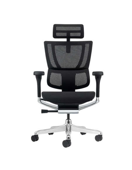 Ергономичен стол ERGOHUMAN ELITE 2 - черна рамка - черен