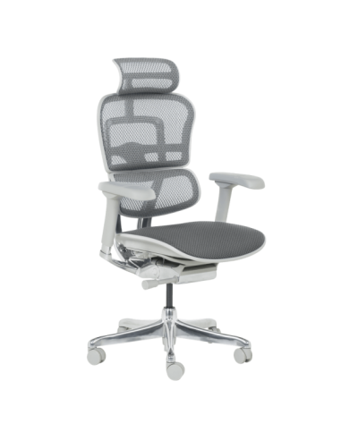 Ергономичен стол ERGOHUMAN ELITE 2 - сива рамка - сив