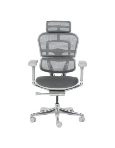 Ергономичен стол ERGOHUMAN ELITE 2 - сива рамка - сив