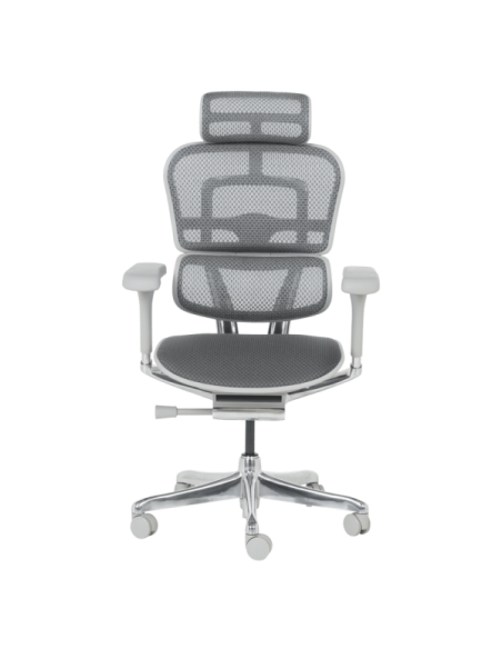 Ергономичен стол ERGOHUMAN ELITE 2 - сива рамка - сив