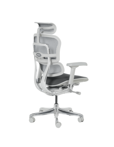 Ергономичен стол ERGOHUMAN ELITE 2 - сива рамка - сив