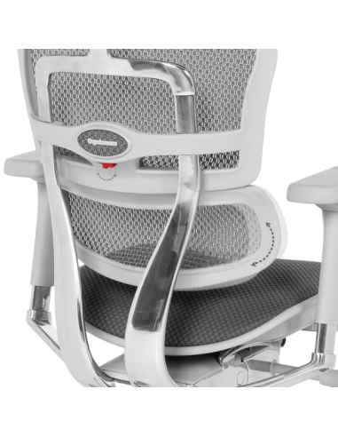 Ергономичен стол ERGOHUMAN ELITE 2 - сива рамка - сив