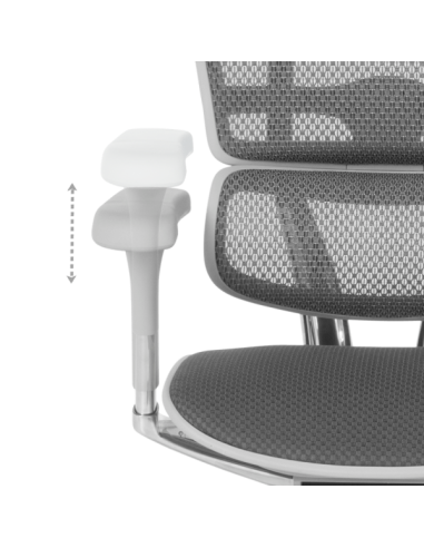 Ергономичен стол ERGOHUMAN ELITE 2 - сива рамка - сив