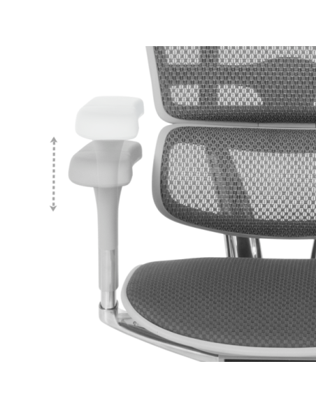 Ергономичен стол ERGOHUMAN ELITE 2 - сива рамка - сив