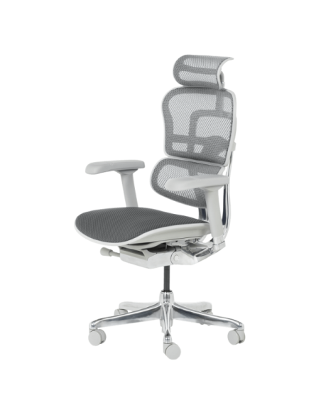 Ергономичен стол ERGOHUMAN ELITE 2 - сива рамка - сив