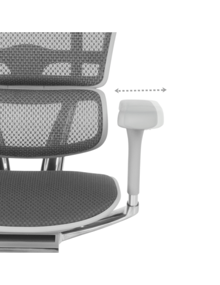 Ергономичен стол ERGOHUMAN ELITE 2 - сива рамка - сив