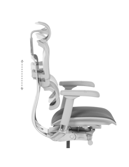 Ергономичен стол ERGOHUMAN ELITE 2 - сива рамка - сив