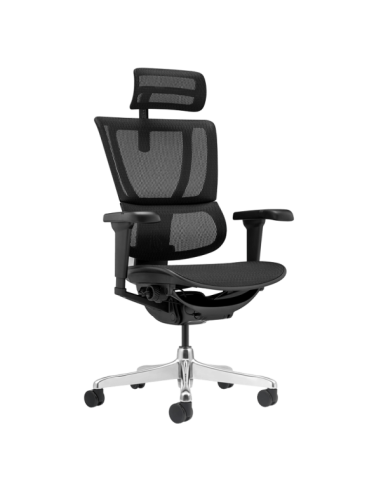 Ергономичен стол ERGOHUMAN IOO ULTRA - черна рамка - черен