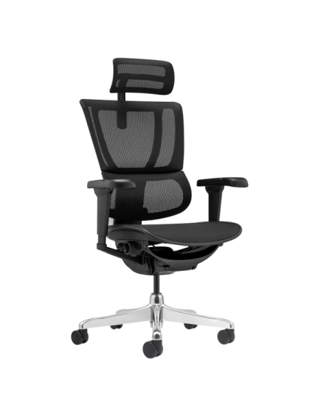 Ергономичен стол ERGOHUMAN IOO ULTRA - черна рамка - черен