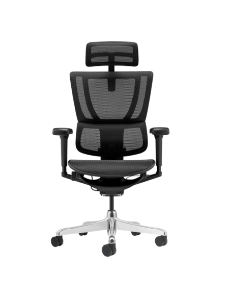 Ергономичен стол ERGOHUMAN IOO ULTRA - черна рамка - черен