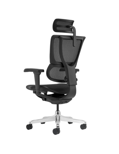 Ергономичен стол ERGOHUMAN IOO ULTRA - черна рамка - черен