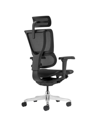 Ергономичен стол ERGOHUMAN IOO ULTRA - черна рамка - черен