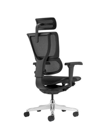 Ергономичен стол ERGOHUMAN IOO ULTRA - черна рамка - черен