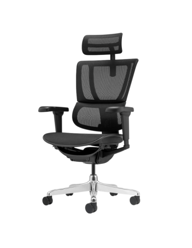 Ергономичен стол ERGOHUMAN IOO ULTRA - черна рамка - черен