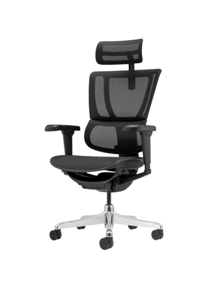 Ергономичен стол ERGOHUMAN IOO ULTRA - черна рамка - черен