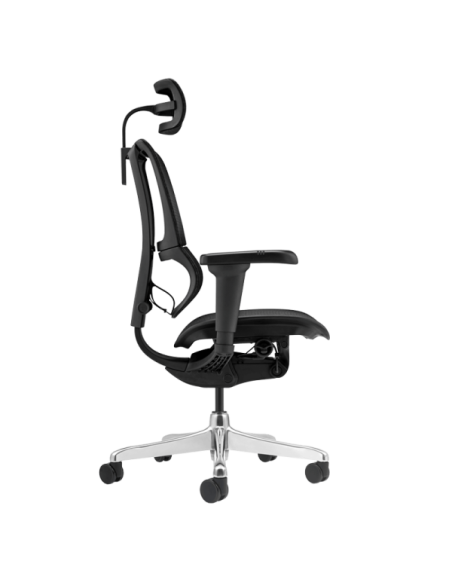 Ергономичен стол ERGOHUMAN IOO ULTRA - черна рамка - черен