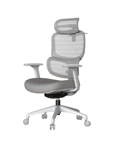 Ергономичен стол ZARDAB - сив