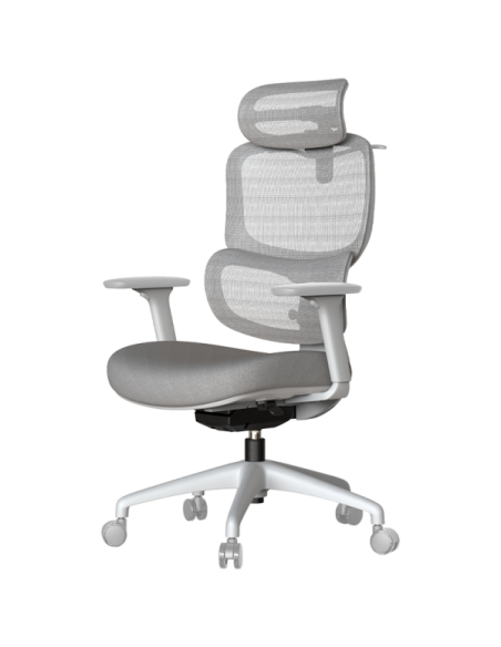 Ергономичен стол ZARDAB - сив