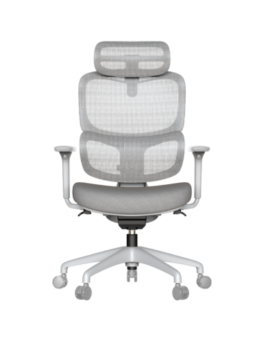 Ергономичен стол ZARDAB - сив