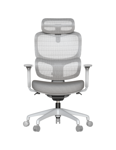 Ергономичен стол ZARDAB - сив