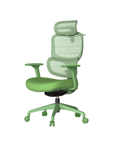 Ергономичен стол JULFA - зелен