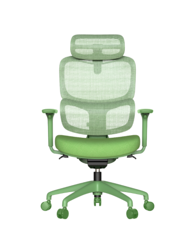 Ергономичен стол JULFA - зелен