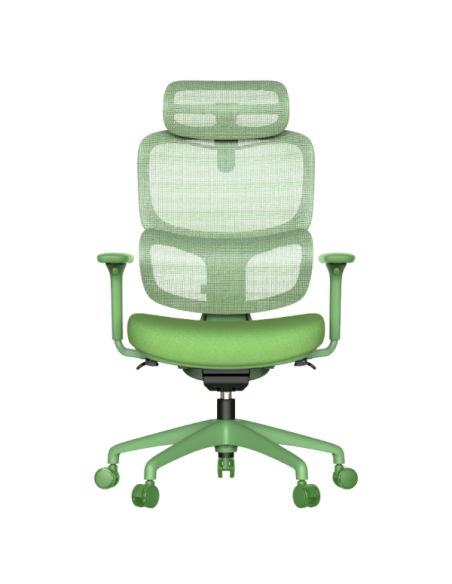 Ергономичен стол JULFA - зелен