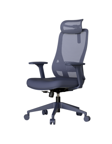 Ергономичен стол MASALI - син