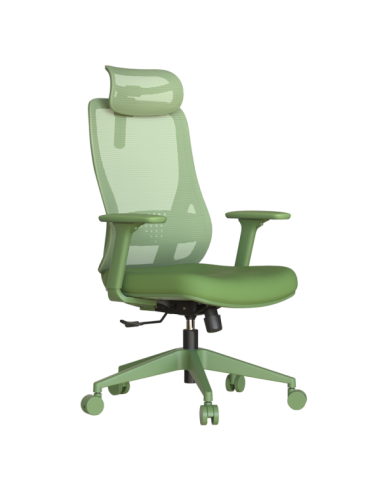 Ергономичен стол MASALI - зелен