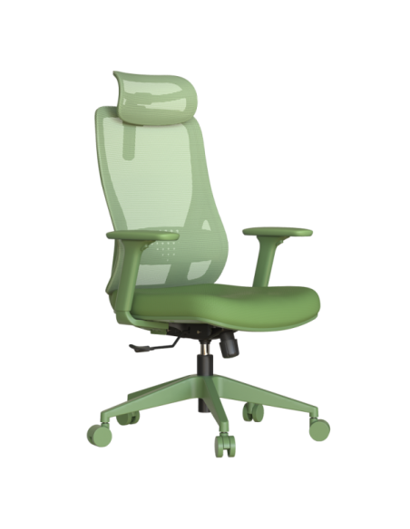 Ергономичен стол MASALI - зелен