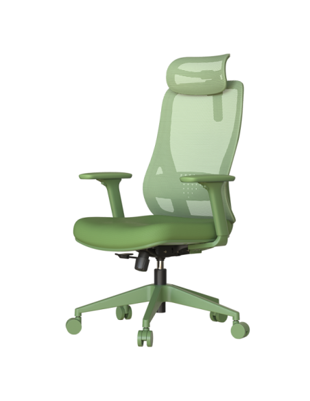 Ергономичен стол MASALI - зелен