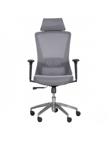 Ергономичен стол Carmen 7542 - сив