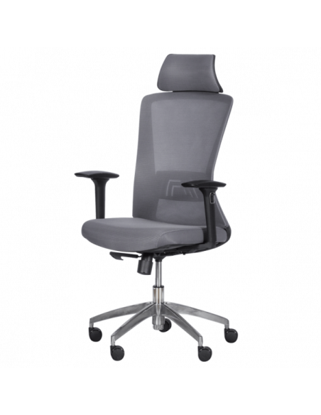 Ергономичен стол Carmen 7542 - сив