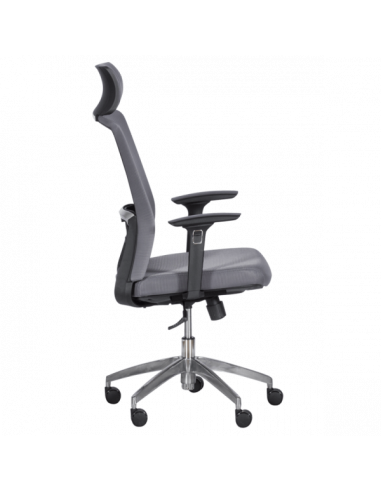 Ергономичен стол Carmen 7542 - сив